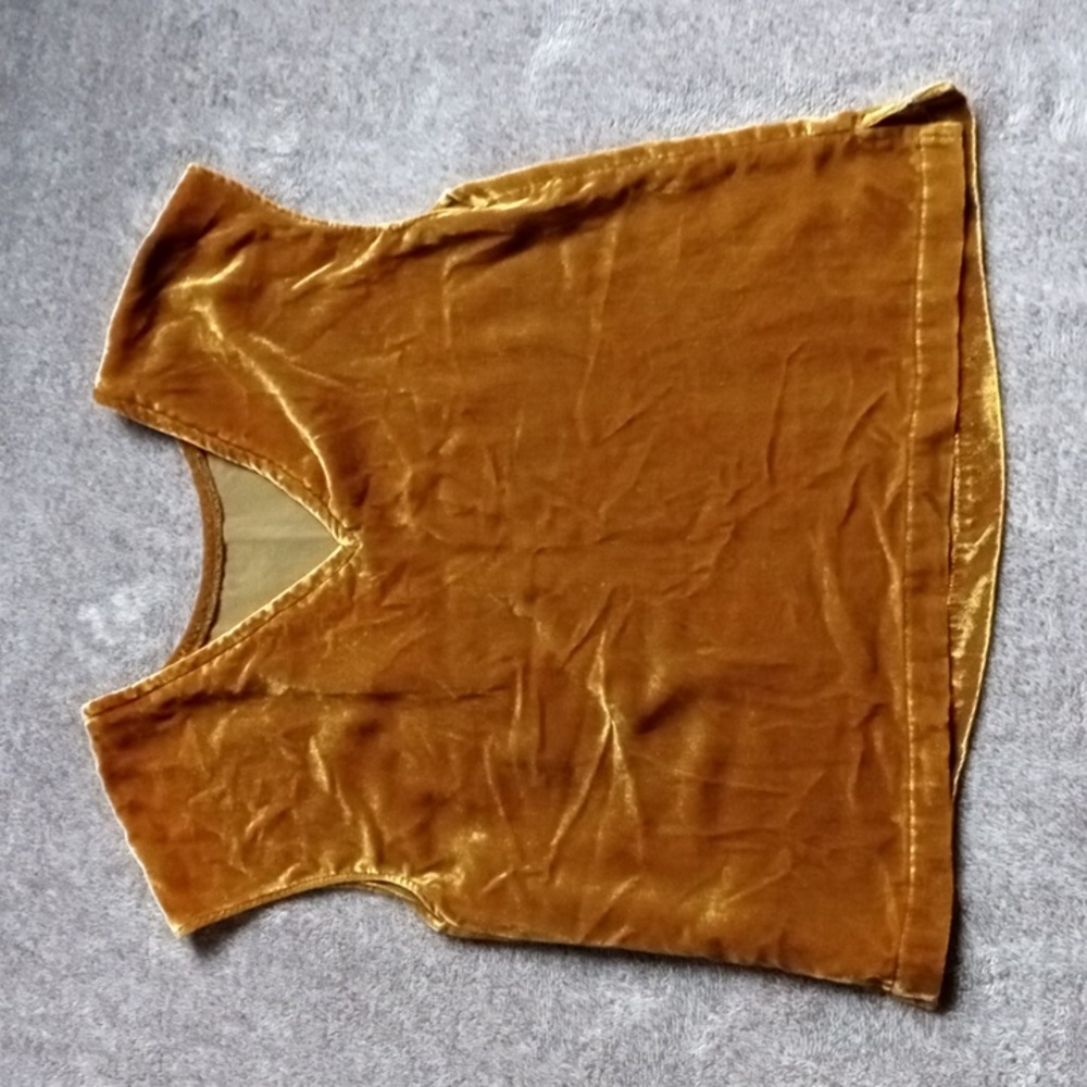 RW & Co gold tone velvet shell